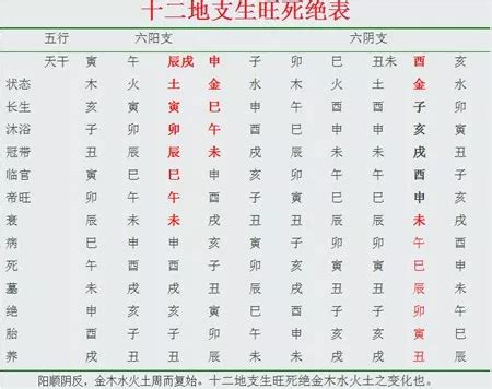 辰庫|八字命理:四墓庫詳論、精論